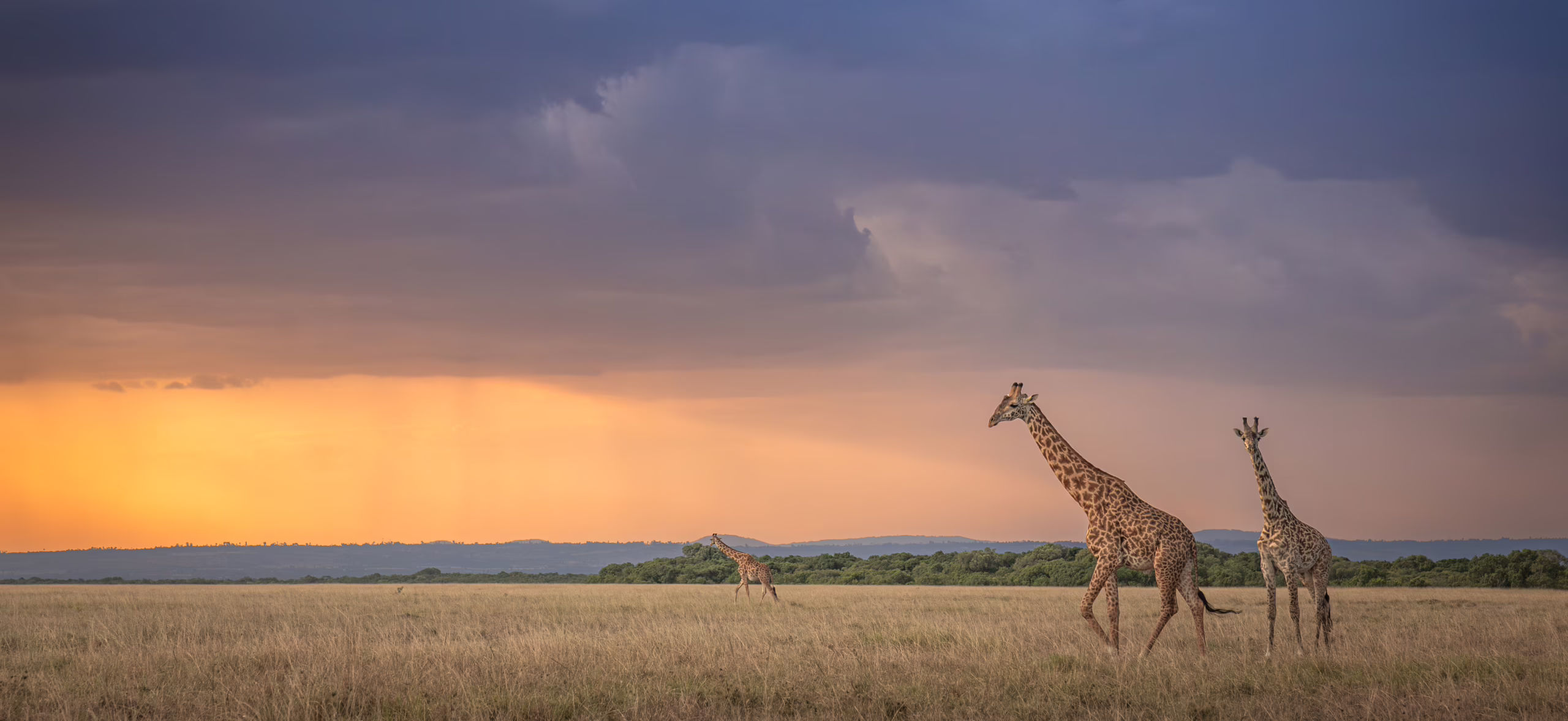 Masai Mara