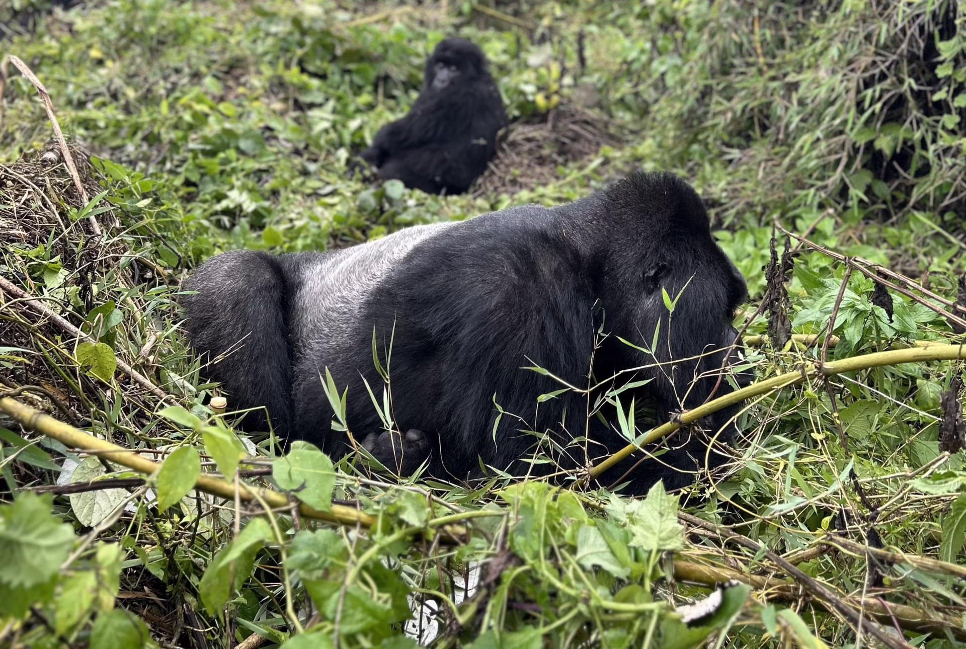 Rwanda