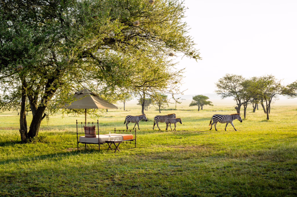 Gorillas & Endless Serengeti