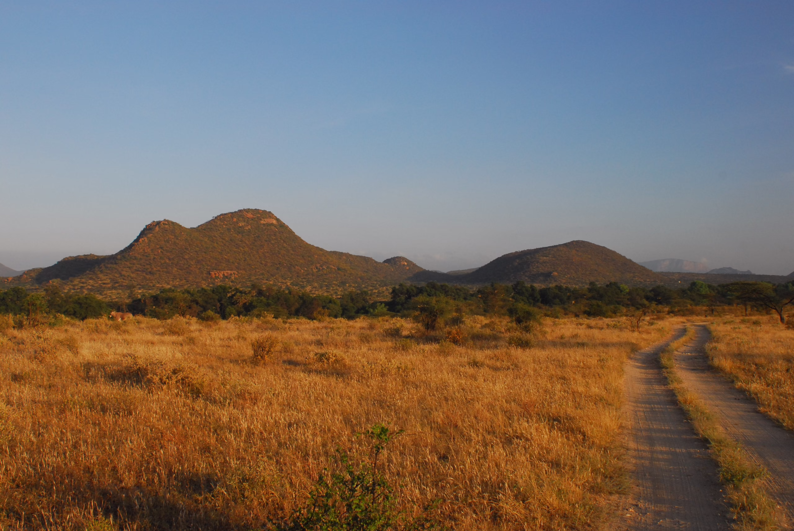 Samburu National Reserve