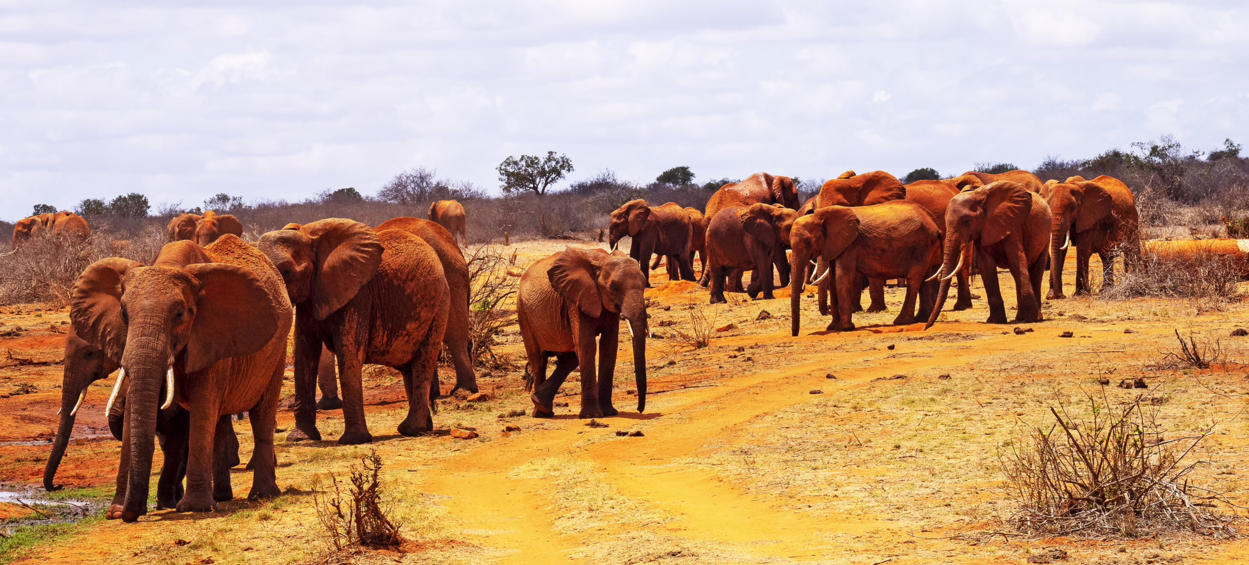Tsavo East National Park