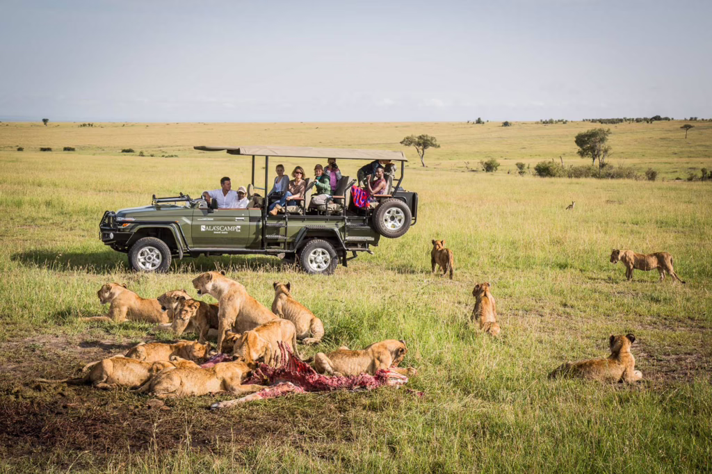A Kenya Safari Journey